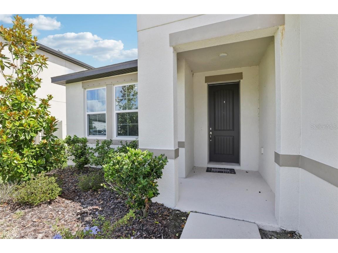 13515 Palmera Vista Drive Riverview FL 33579 TB8396382 image5