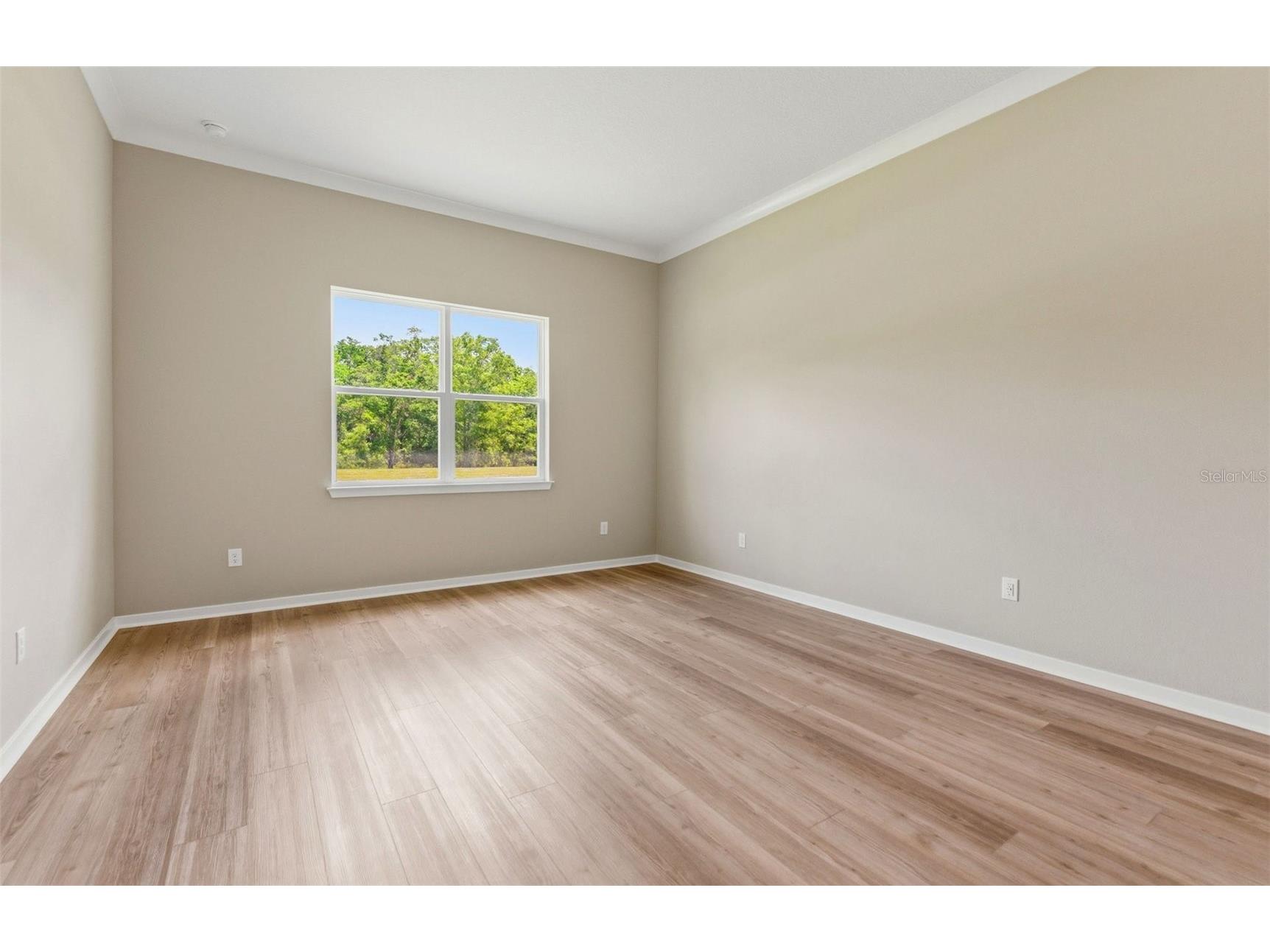 13516 Canyon Ridge Road Spring Hill FL 34610 TB8449264 image8