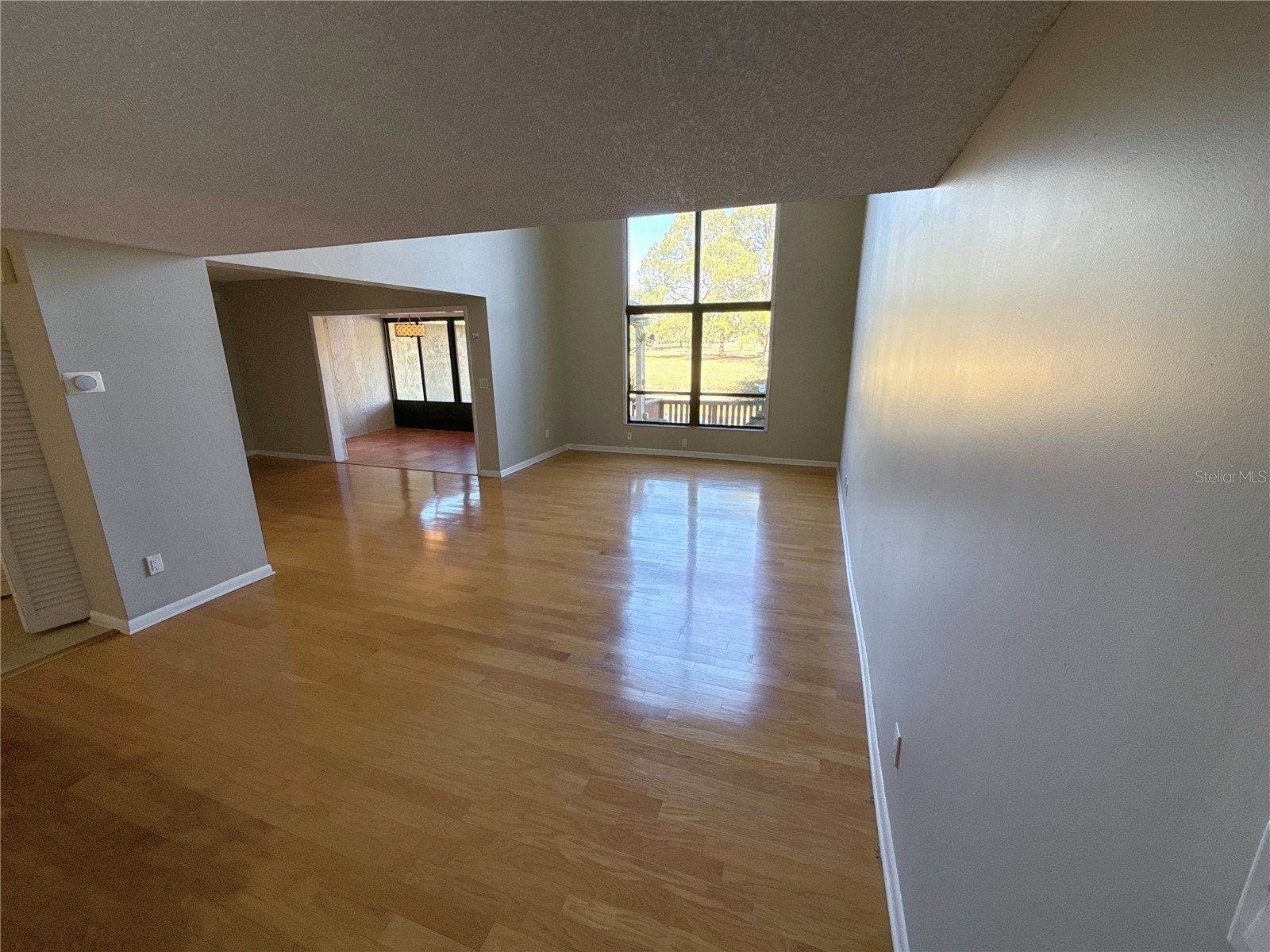 13516 Palmwood Lane Tampa FL 33618 TB8471780 image10