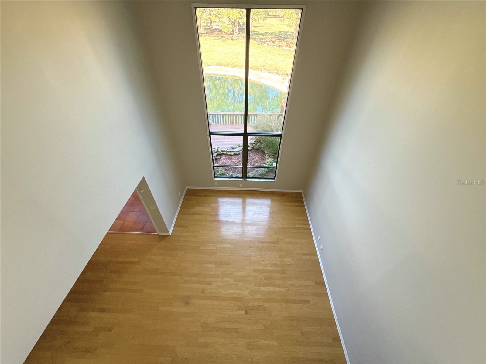 13516 Palmwood Lane Tampa FL 33618 TB8471780 image12