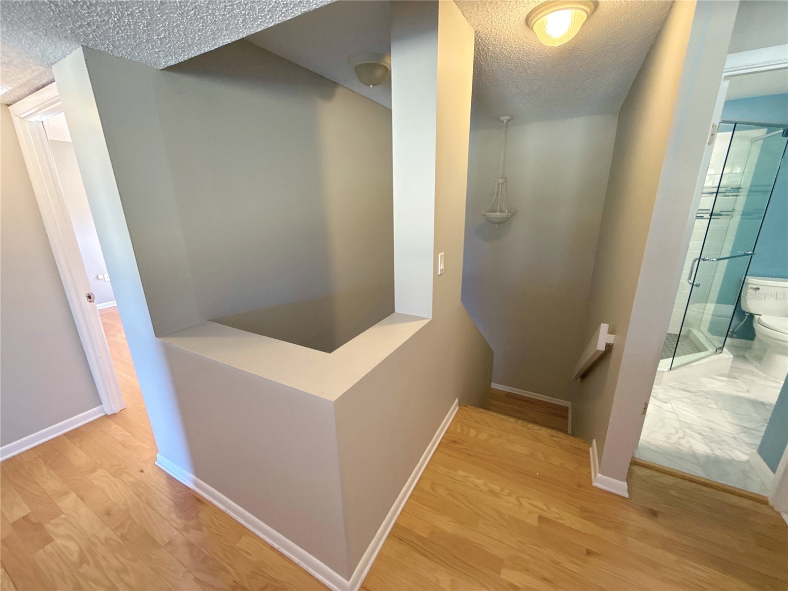 13516 Palmwood Lane Tampa FL 33618 TB8471780 image21