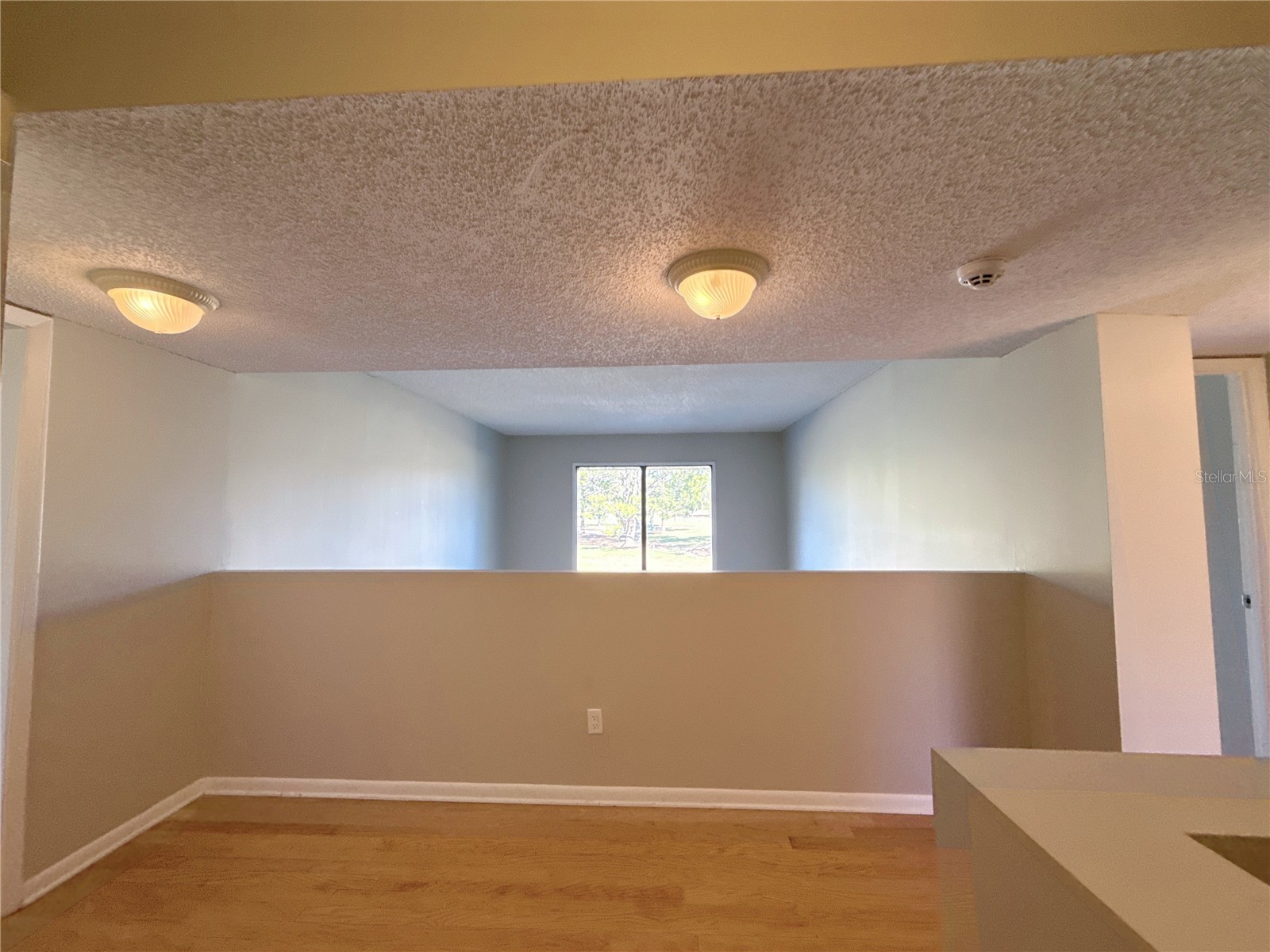 13516 Palmwood Lane Tampa FL 33618 TB8471780 image22