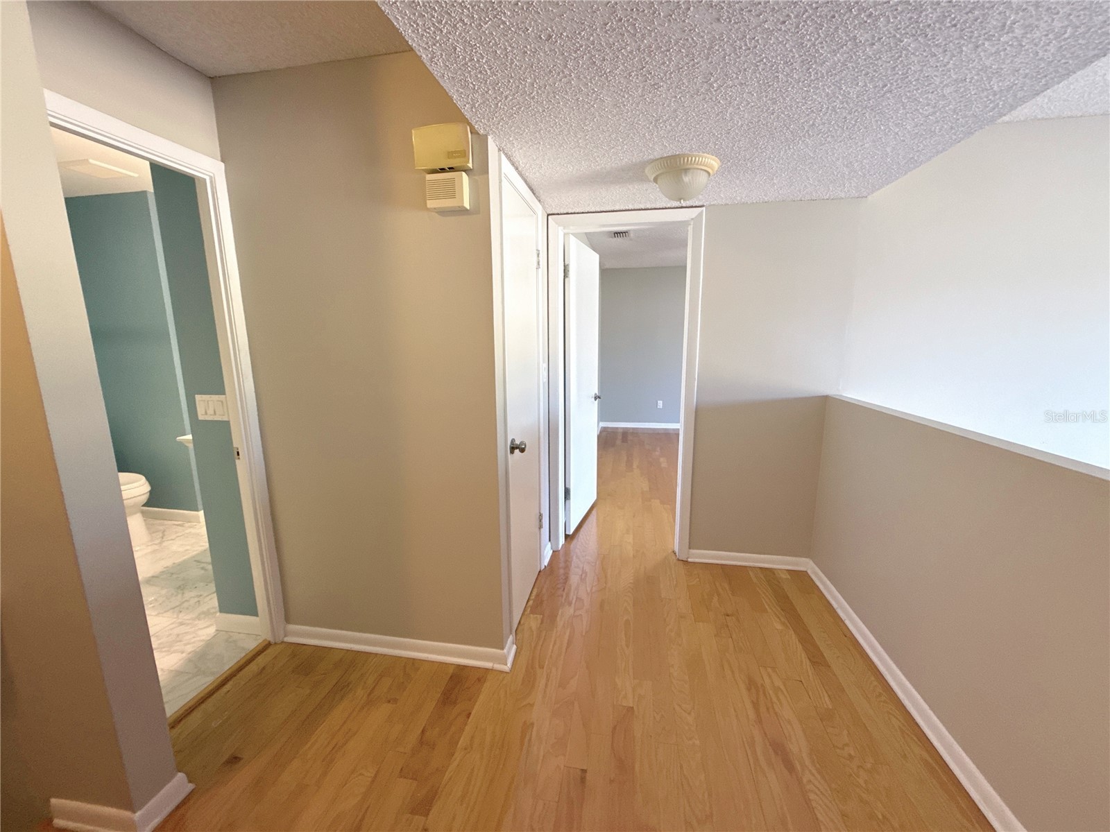 13516 Palmwood Lane Tampa FL 33618 TB8471780 image23