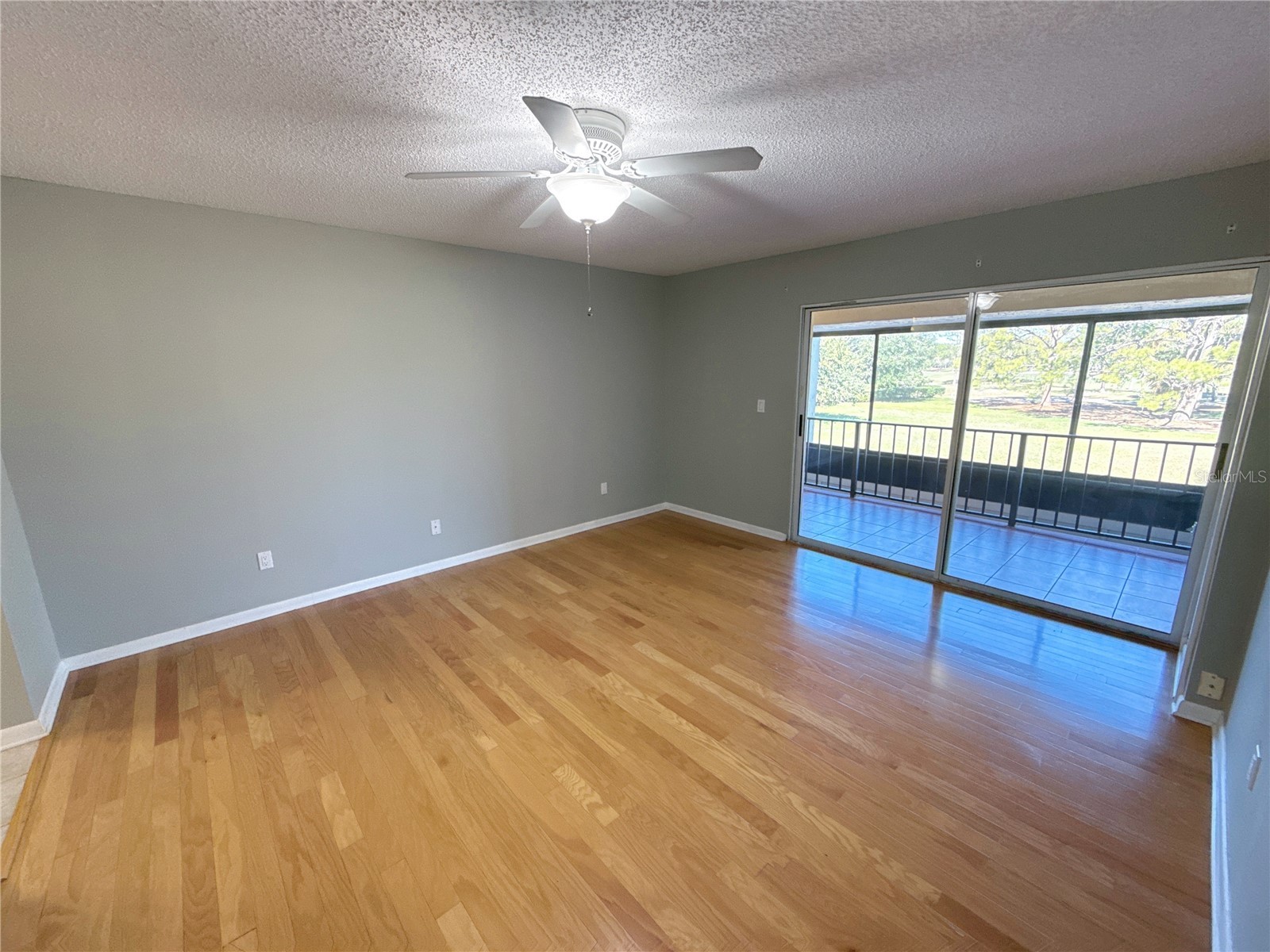 13516 Palmwood Lane Tampa FL 33618 TB8471780 image28