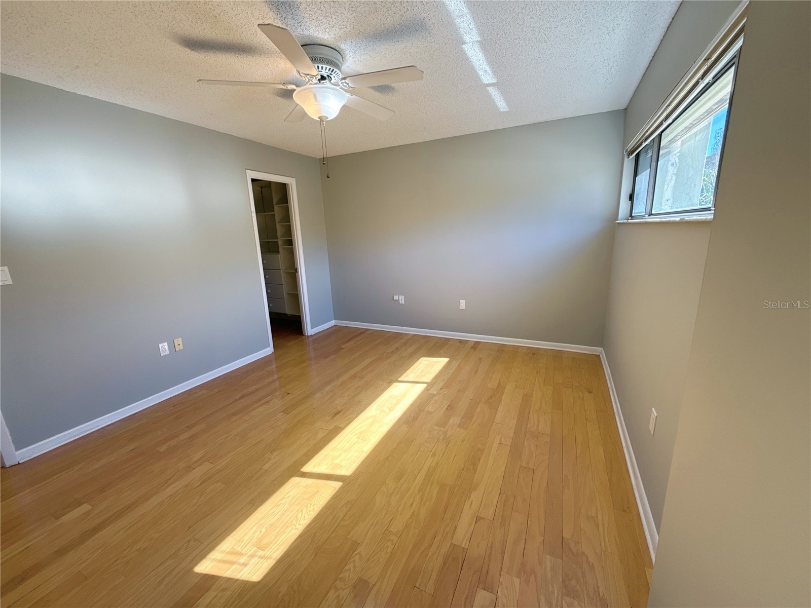 13516 Palmwood Lane Tampa FL 33618 TB8471780 image33