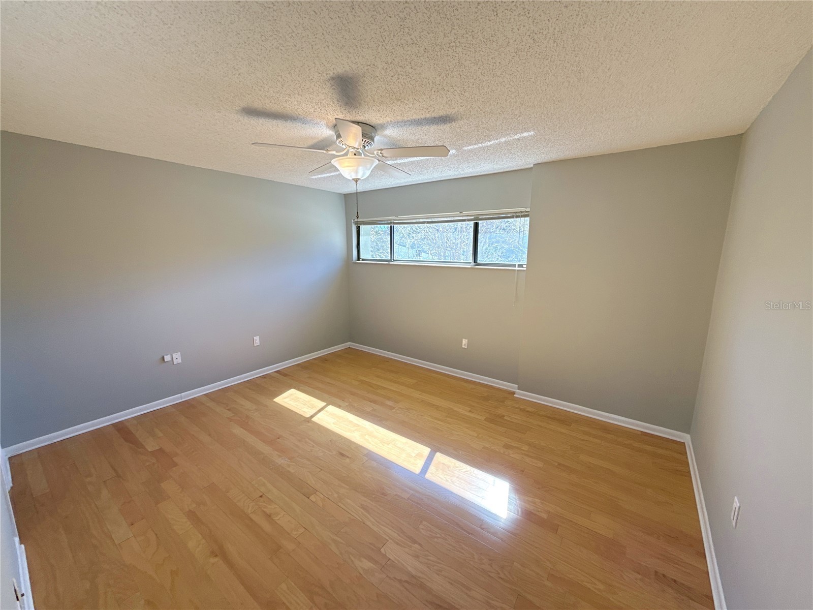 13516 Palmwood Lane Tampa FL 33618 TB8471780 image34