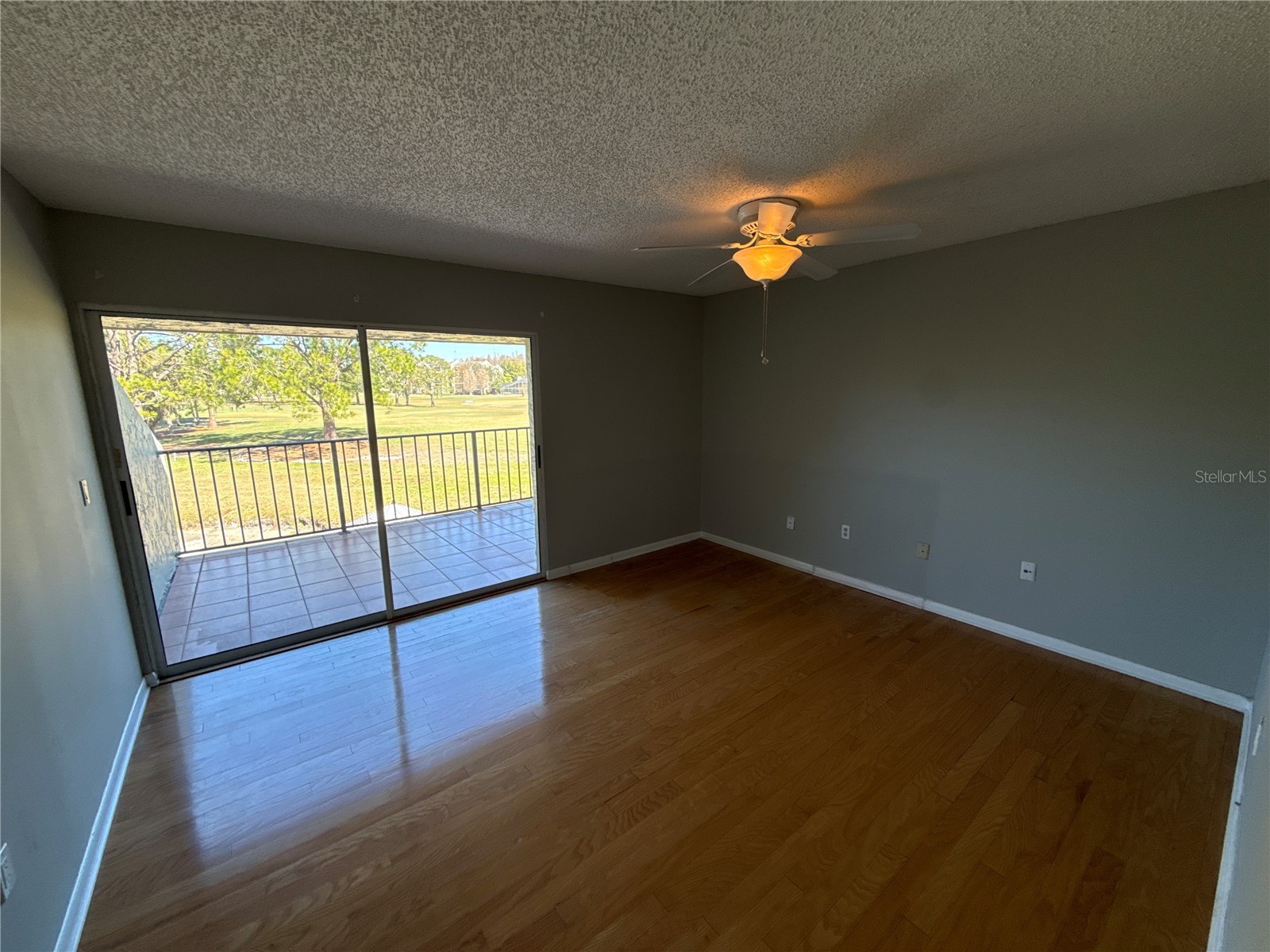 13516 Palmwood Lane Tampa FL 33618 TB8471780 image36