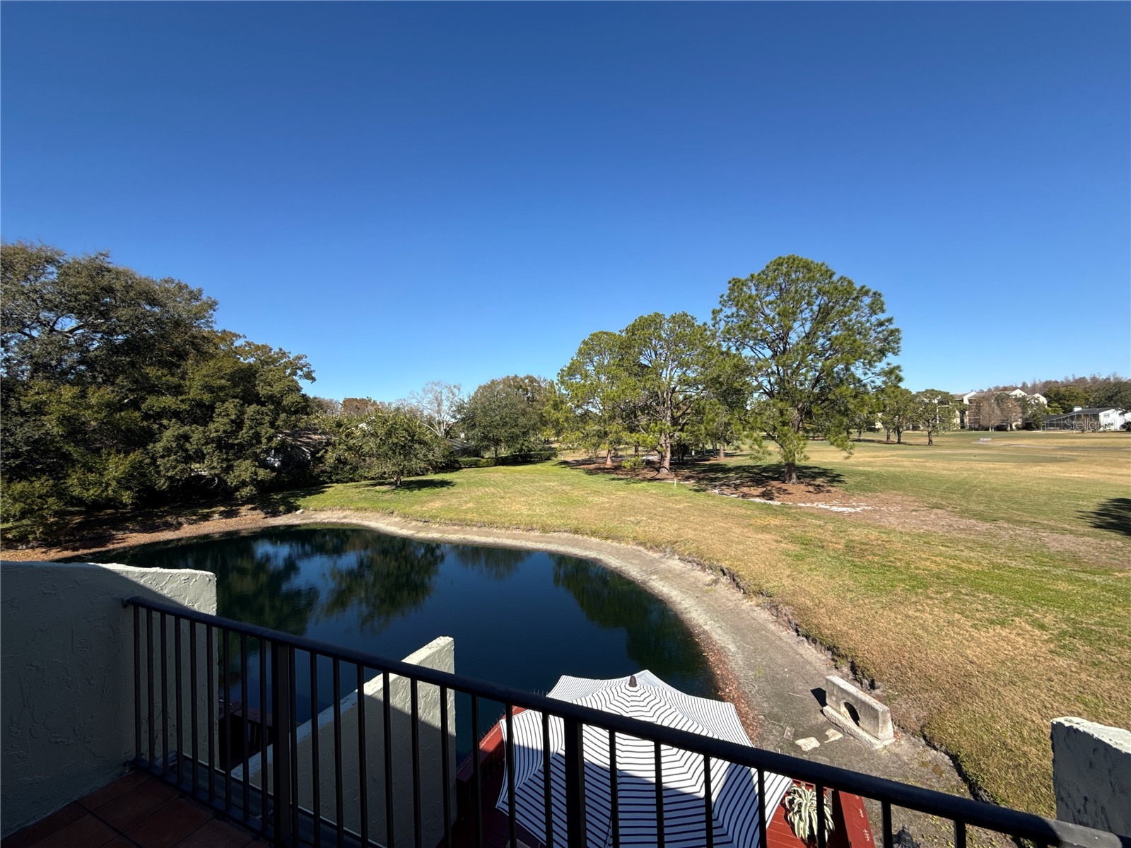 13516 Palmwood Lane Tampa FL 33618 TB8471780 image38