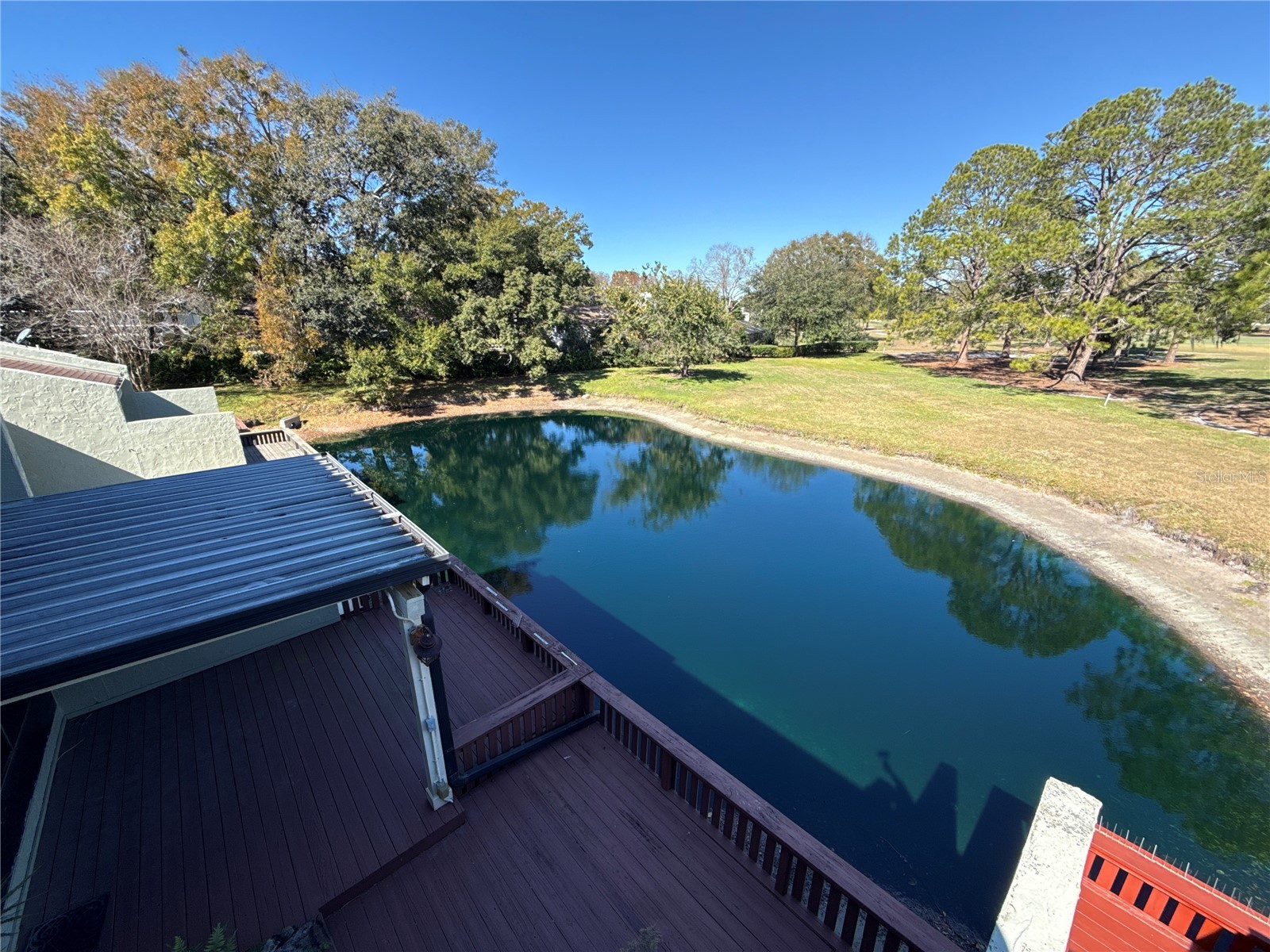 13516 Palmwood Lane Tampa FL 33618 TB8471780 image40