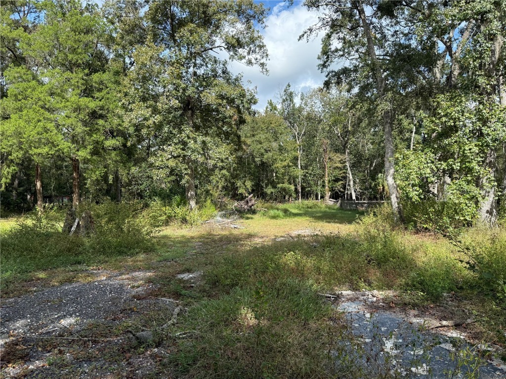 13517 Citrus Way Brooksville FL 34601 TB8442882 image34