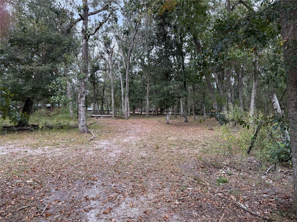 13517 Citrus Way Brooksville FL 34601 TB8442882 image35