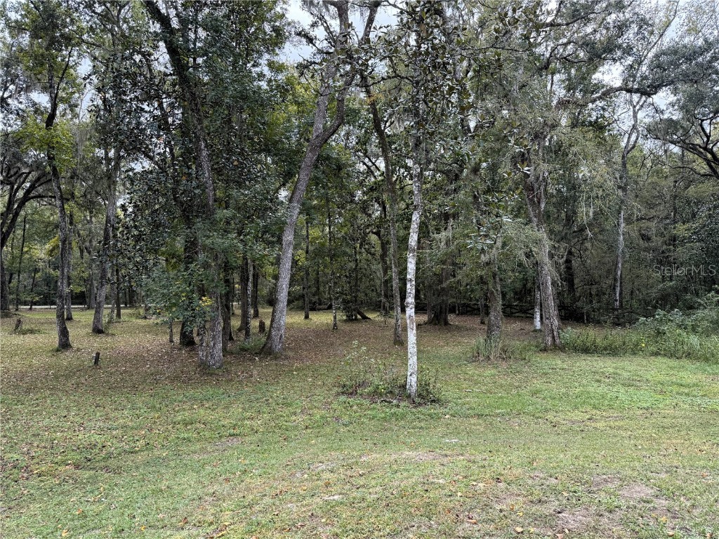 13517 Citrus Way Brooksville FL 34601 TB8442882 image40