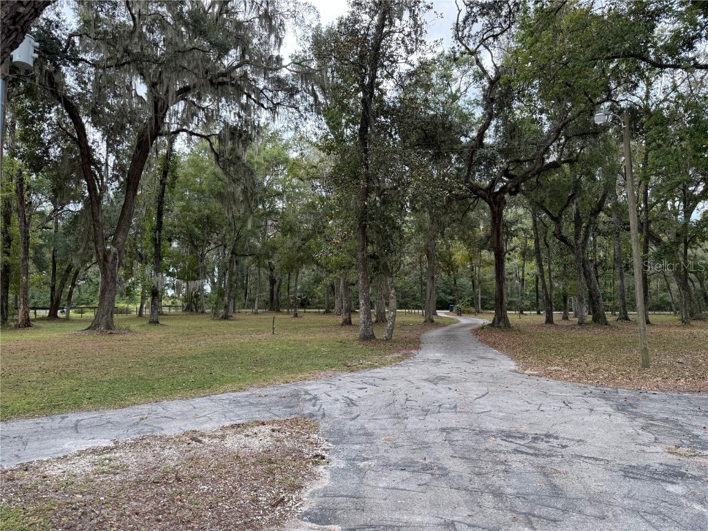 13517 Citrus Way Brooksville FL 34601 TB8442882 image7