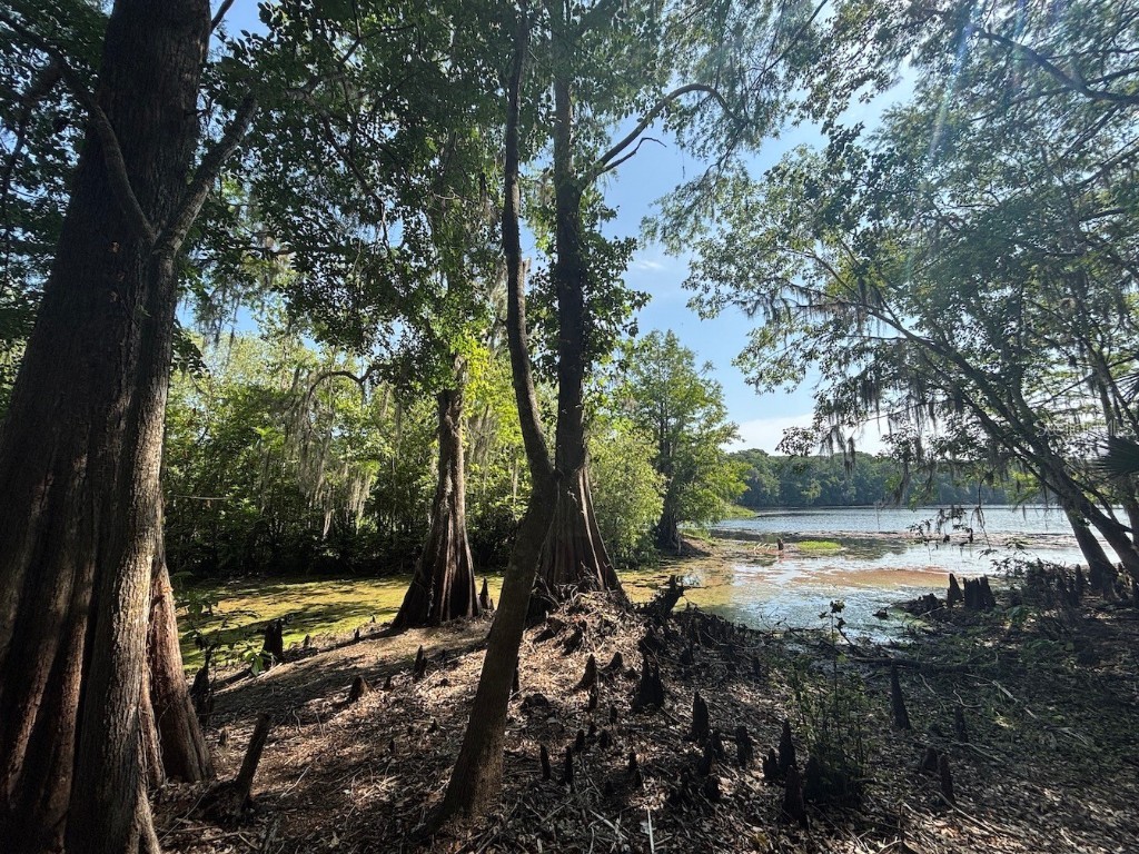 13517 E Shawnee Trail Inverness FL 34450 TB8386769 image1