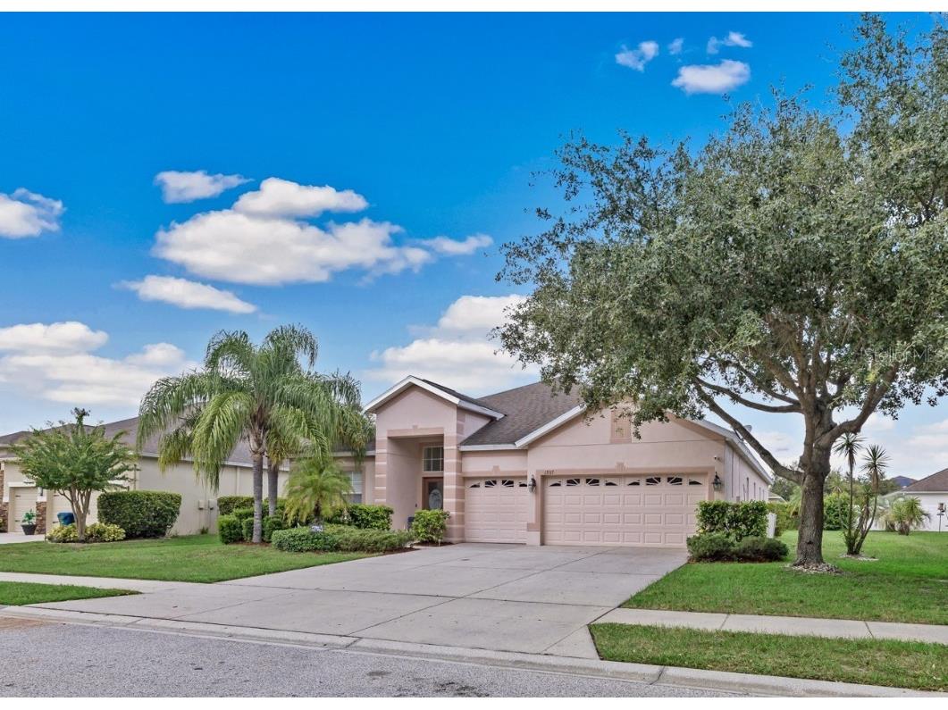 13517 Hunters Point Street Spring Hill FL 34609 W7869382 image1