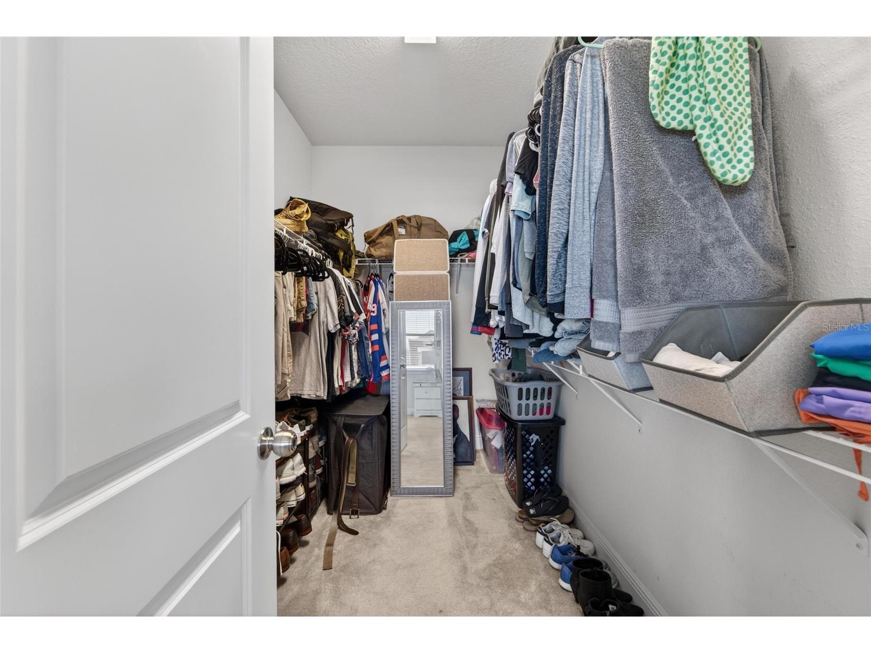 13517 Texas Sage Place Riverview FL 33579 TB8504844 image41