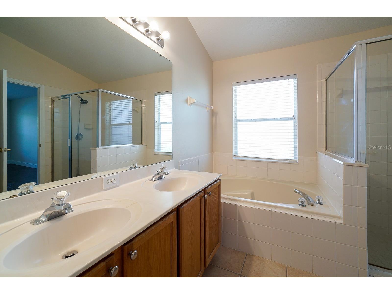 13518 Briarmoor Court Orlando FL 32837 O6418949 image16