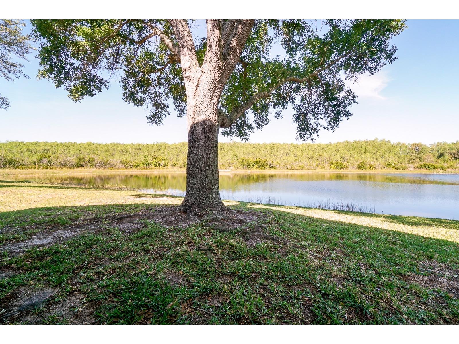 13518 Briarmoor Court Orlando FL 32837 O6418949 image29