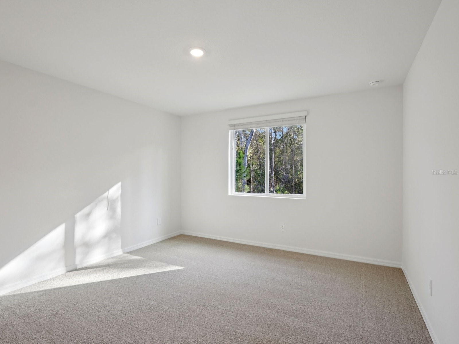 13518 Shellmore Avenue Palmetto FL 34221 TB8501396 image8