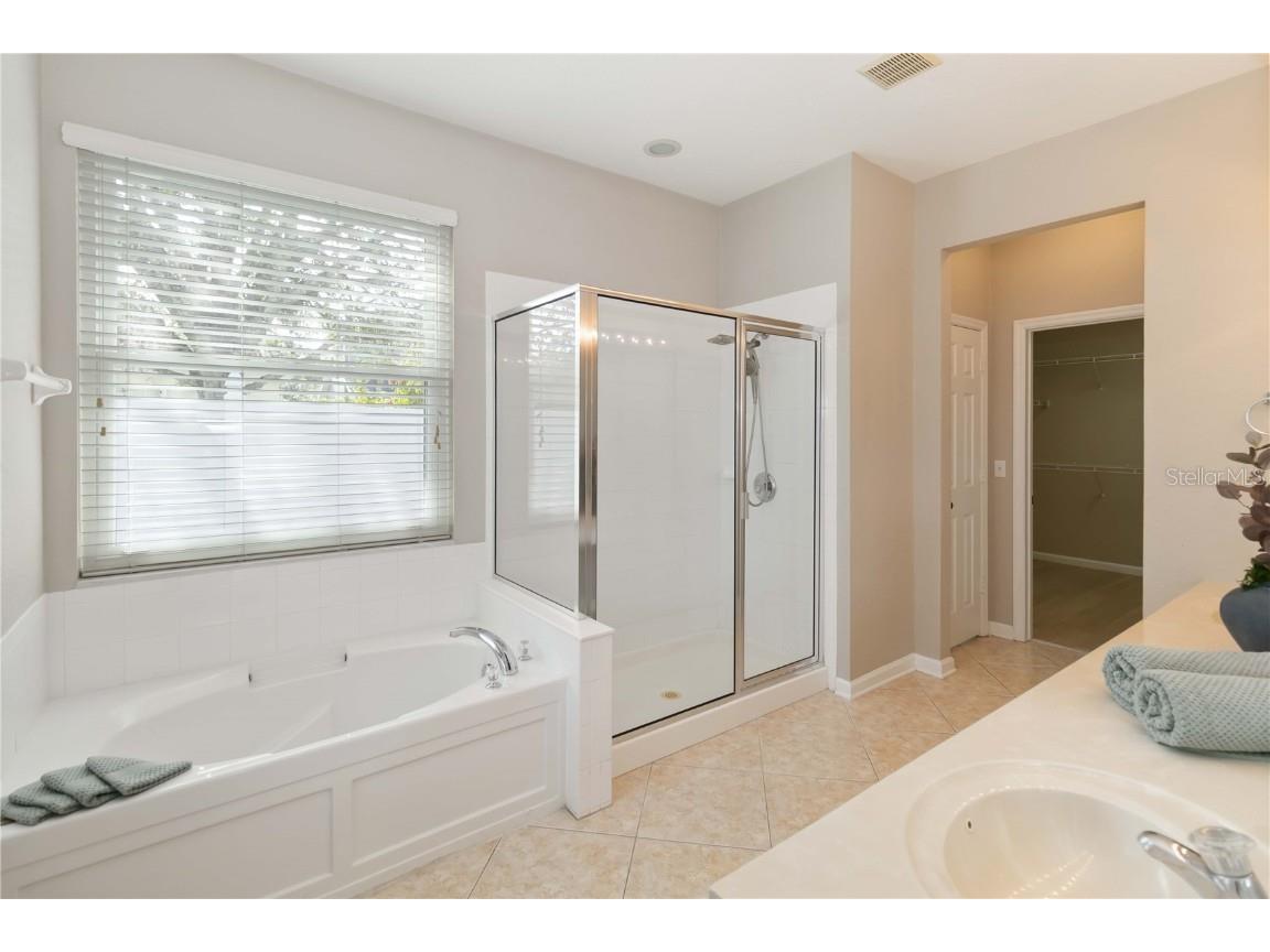 13519 Bicton Lane Windermere FL 34786 O6372084 image28