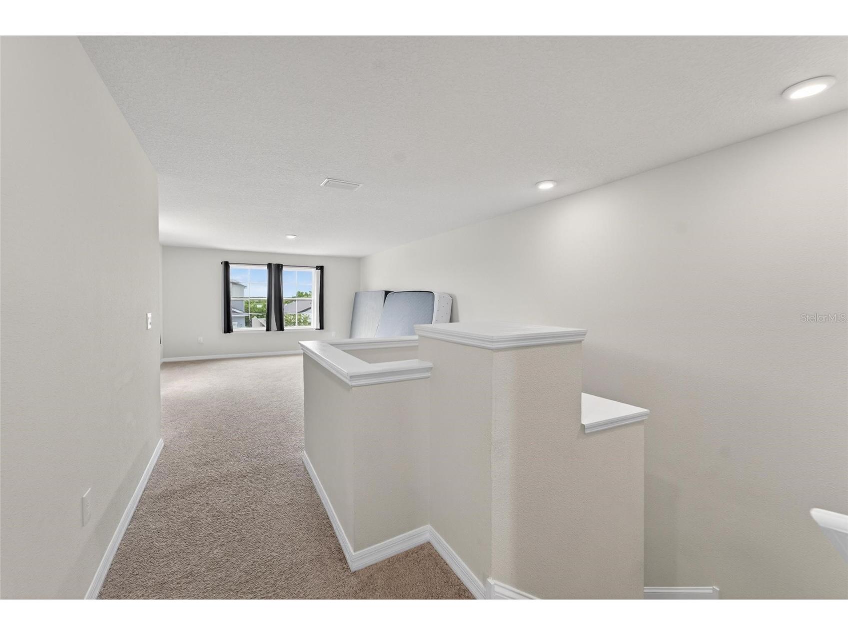 13519 Palmera Vista Drive Riverview FL 33579 TB8510164 image15