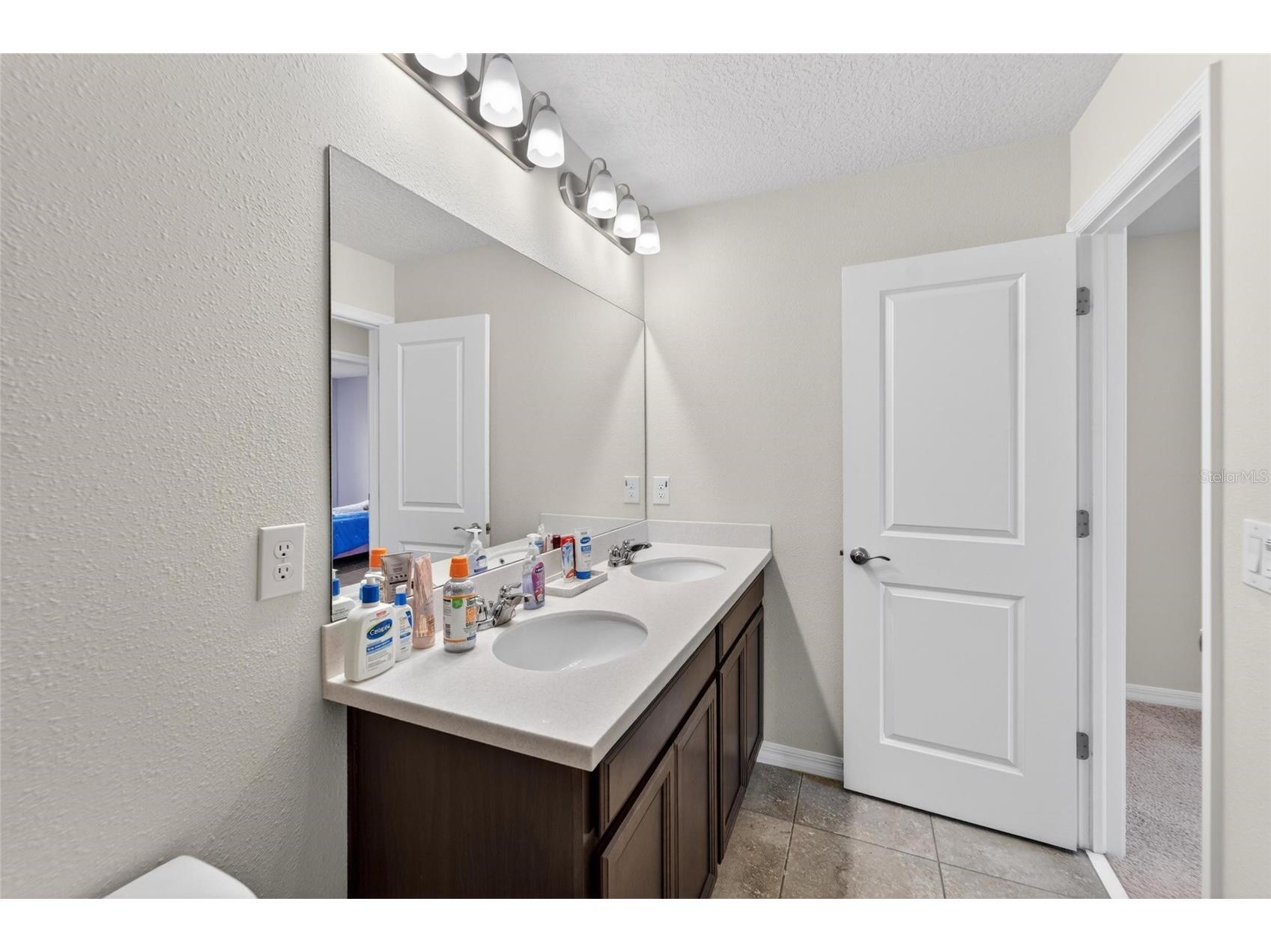 13519 Palmera Vista Drive Riverview FL 33579 TB8510164 image22