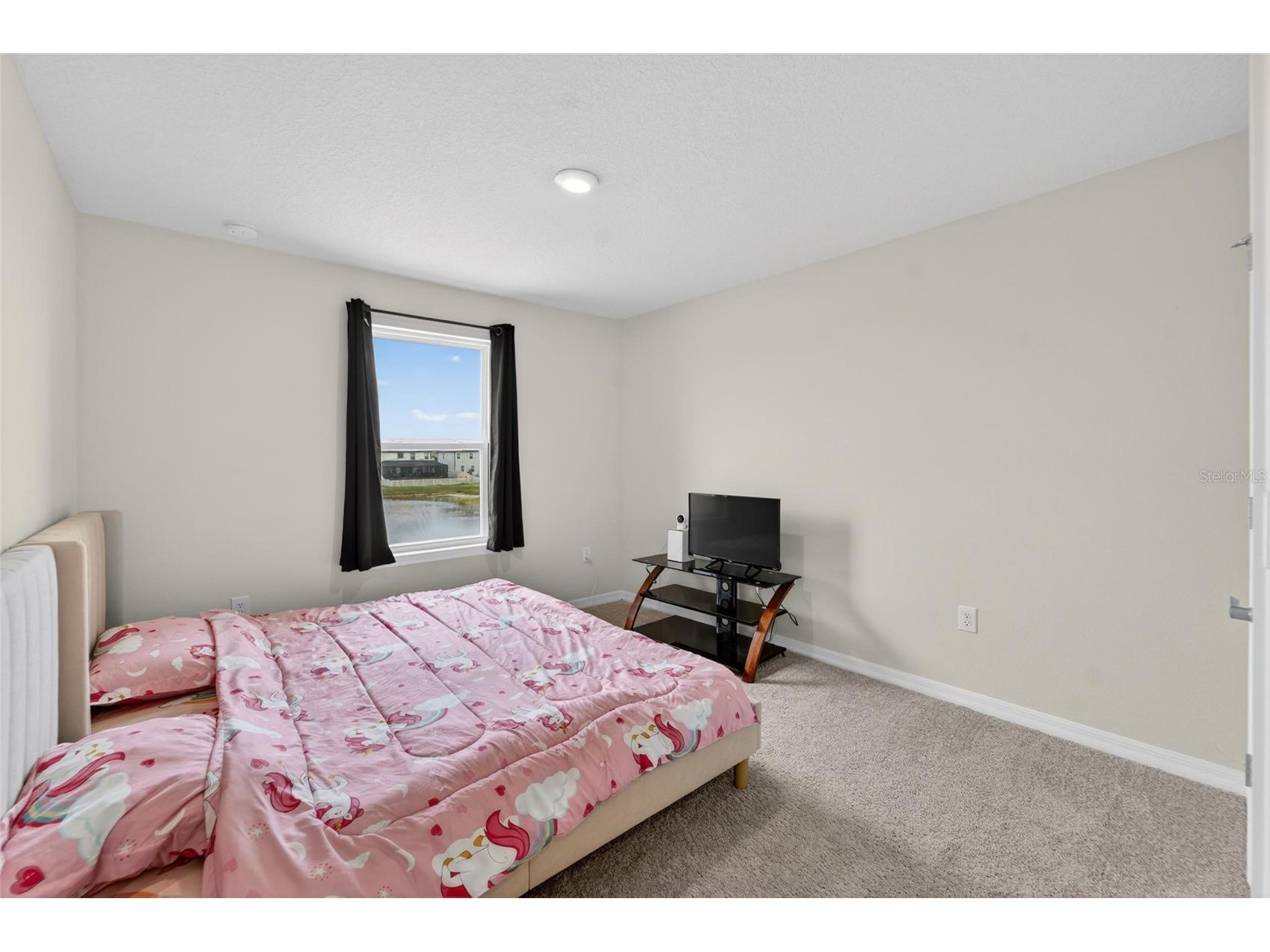 13519 Palmera Vista Drive Riverview FL 33579 TB8510164 image23