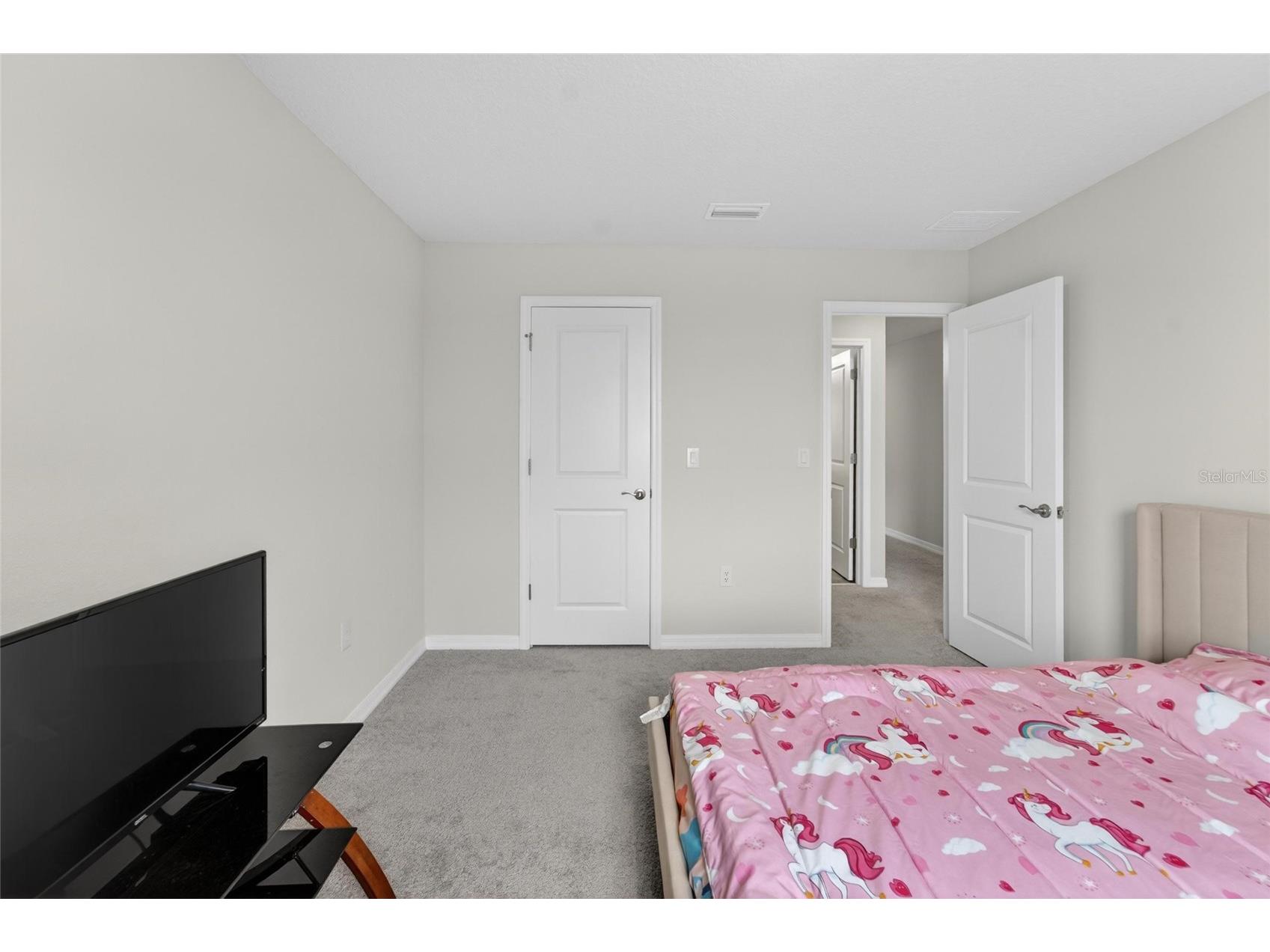 13519 Palmera Vista Drive Riverview FL 33579 TB8510164 image25