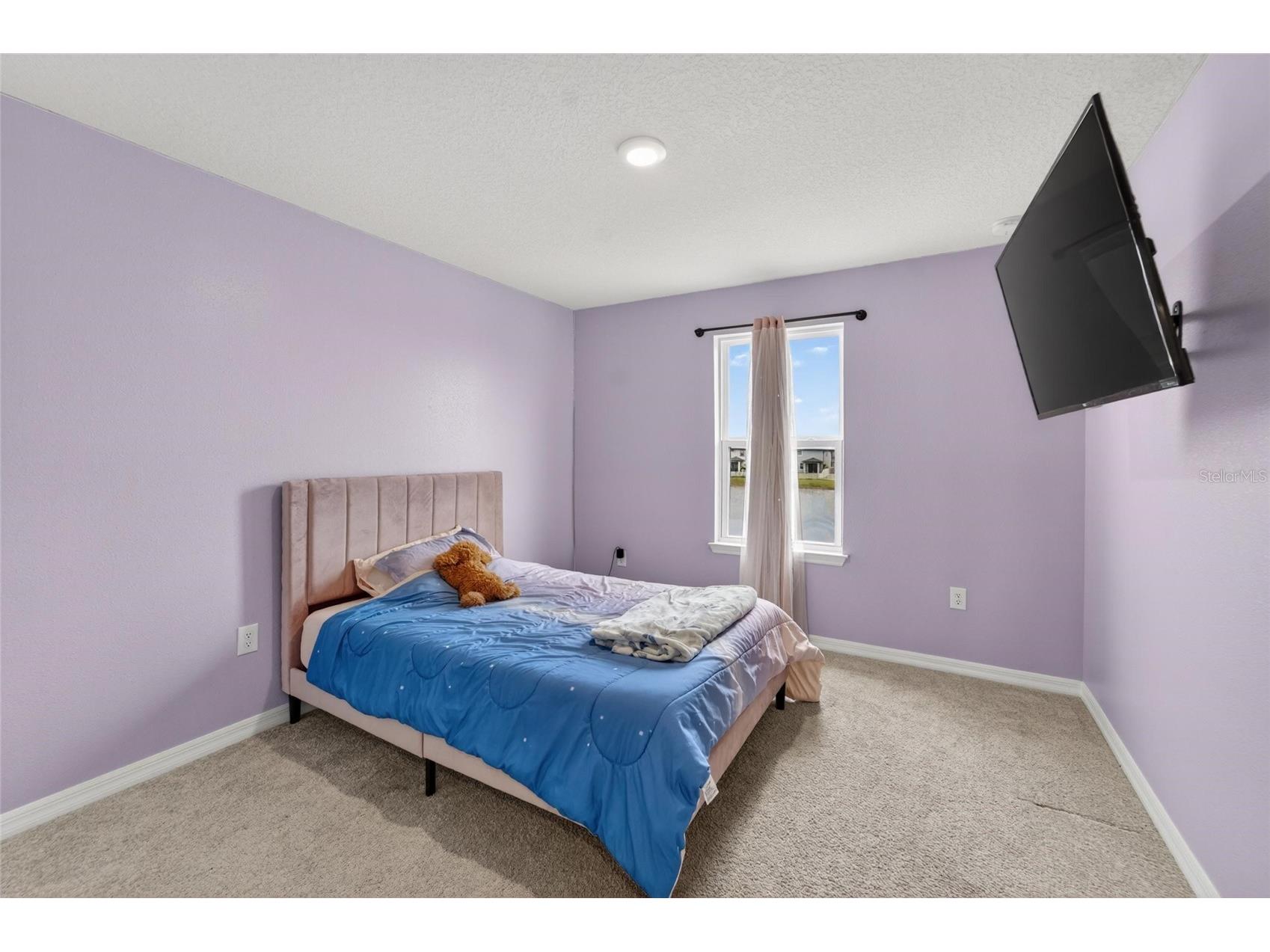 13519 Palmera Vista Drive Riverview FL 33579 TB8510164 image26