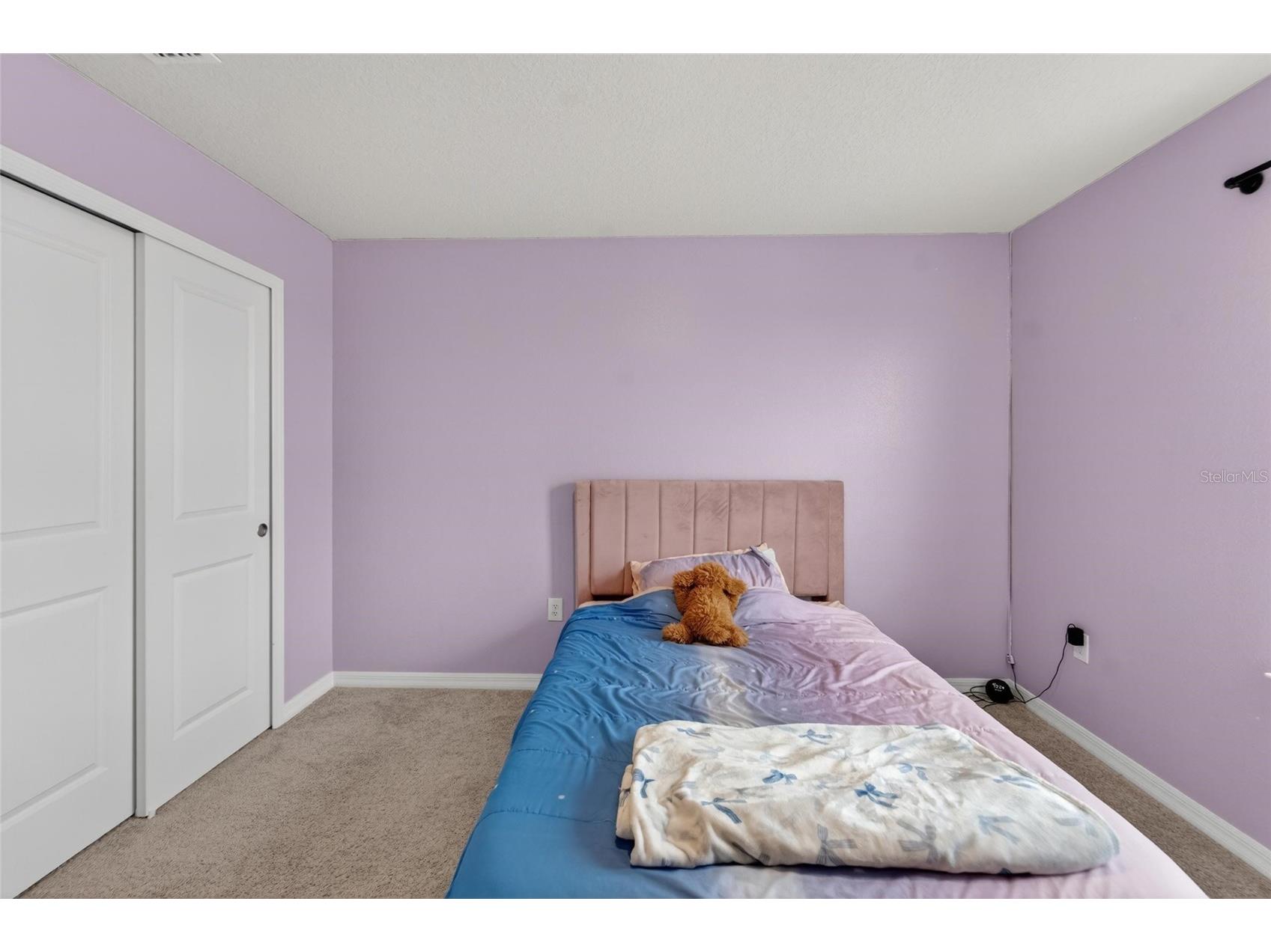 13519 Palmera Vista Drive Riverview FL 33579 TB8510164 image27