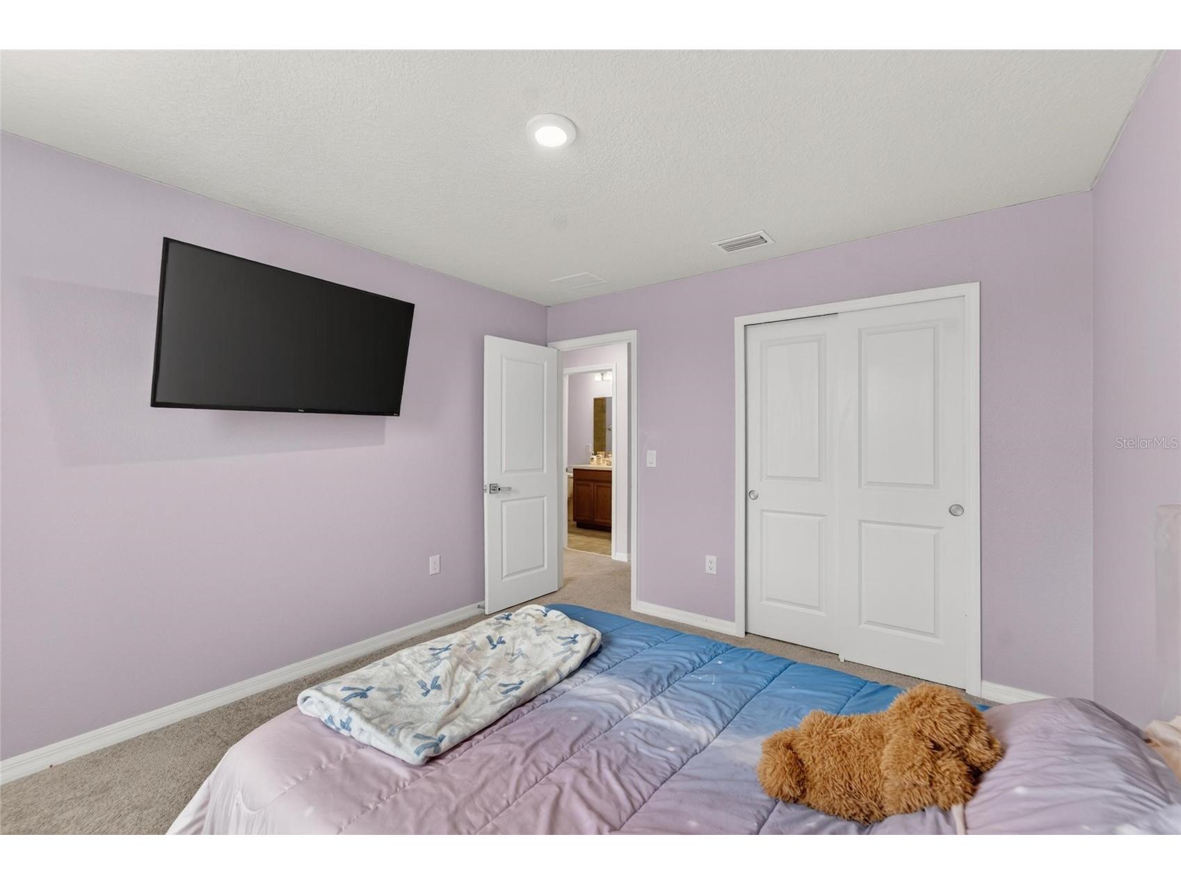 13519 Palmera Vista Drive Riverview FL 33579 TB8510164 image28