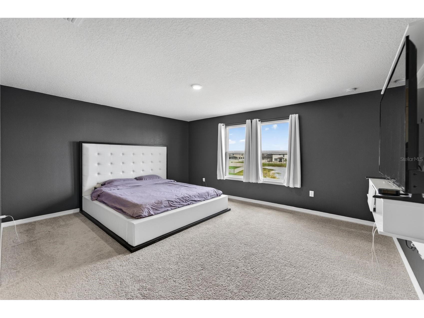 13519 Palmera Vista Drive Riverview FL 33579 TB8510164 image30
