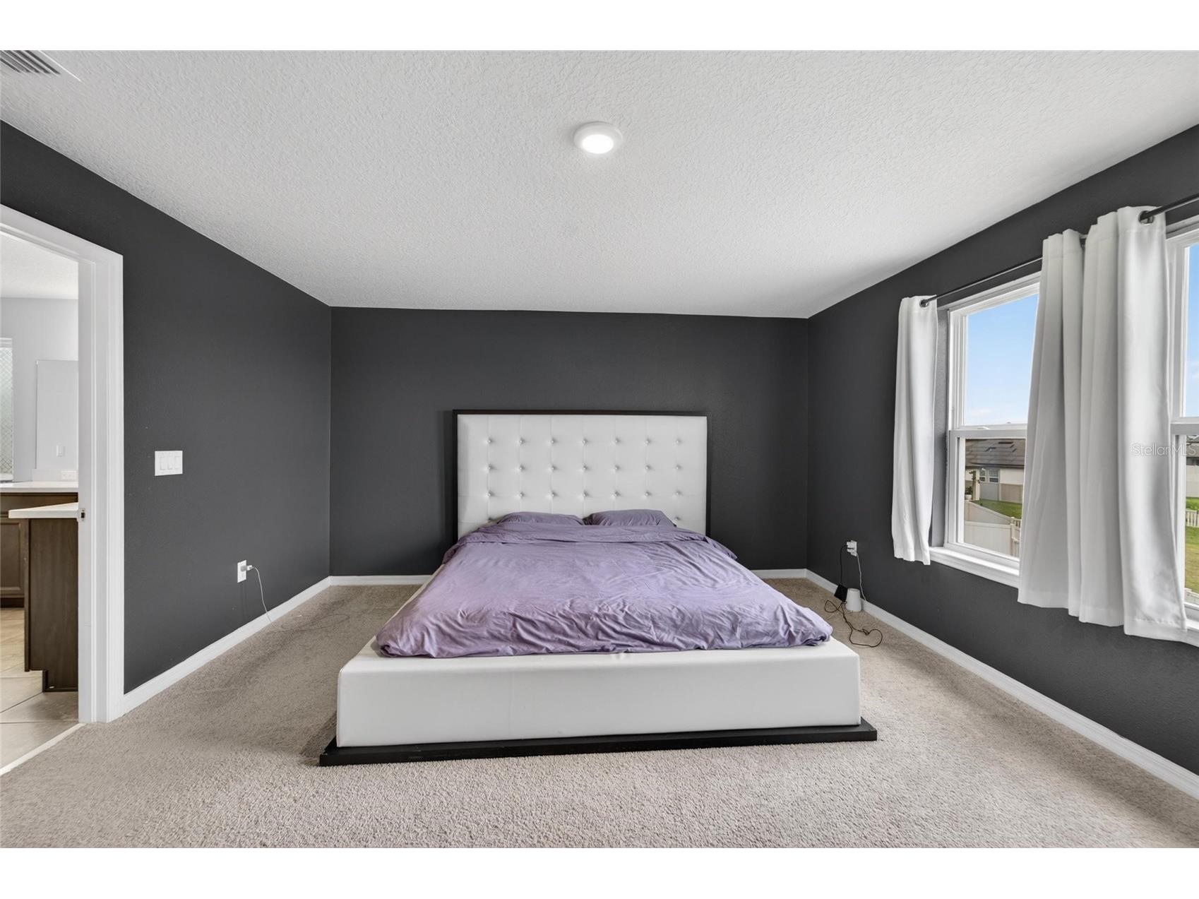 13519 Palmera Vista Drive Riverview FL 33579 TB8510164 image31