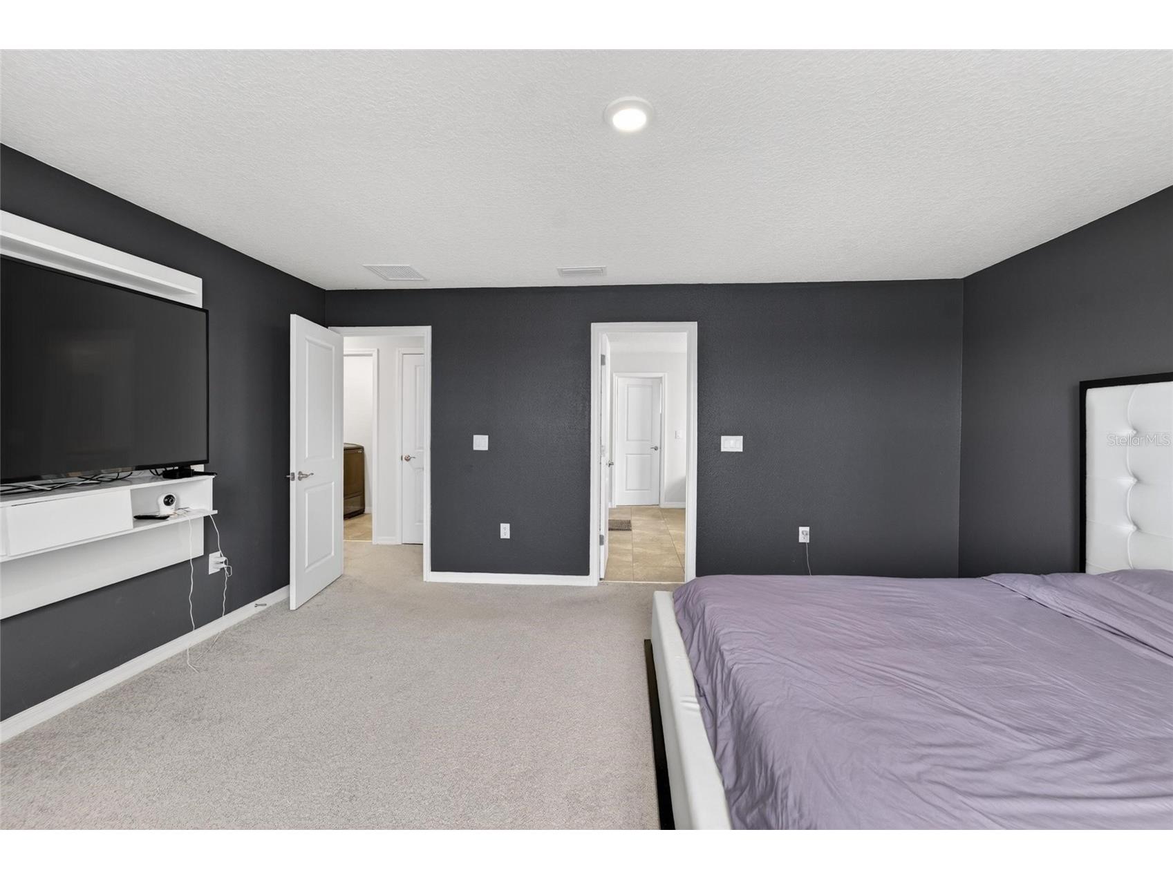 13519 Palmera Vista Drive Riverview FL 33579 TB8510164 image32