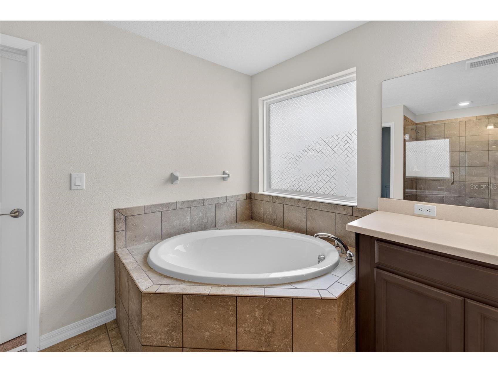 13519 Palmera Vista Drive Riverview FL 33579 TB8510164 image37