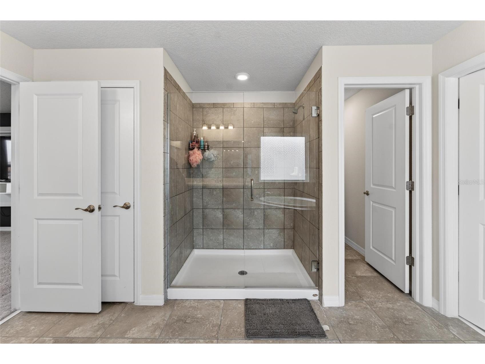 13519 Palmera Vista Drive Riverview FL 33579 TB8510164 image38