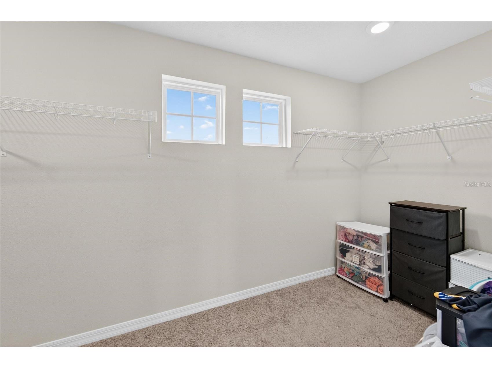 13519 Palmera Vista Drive Riverview FL 33579 TB8510164 image39