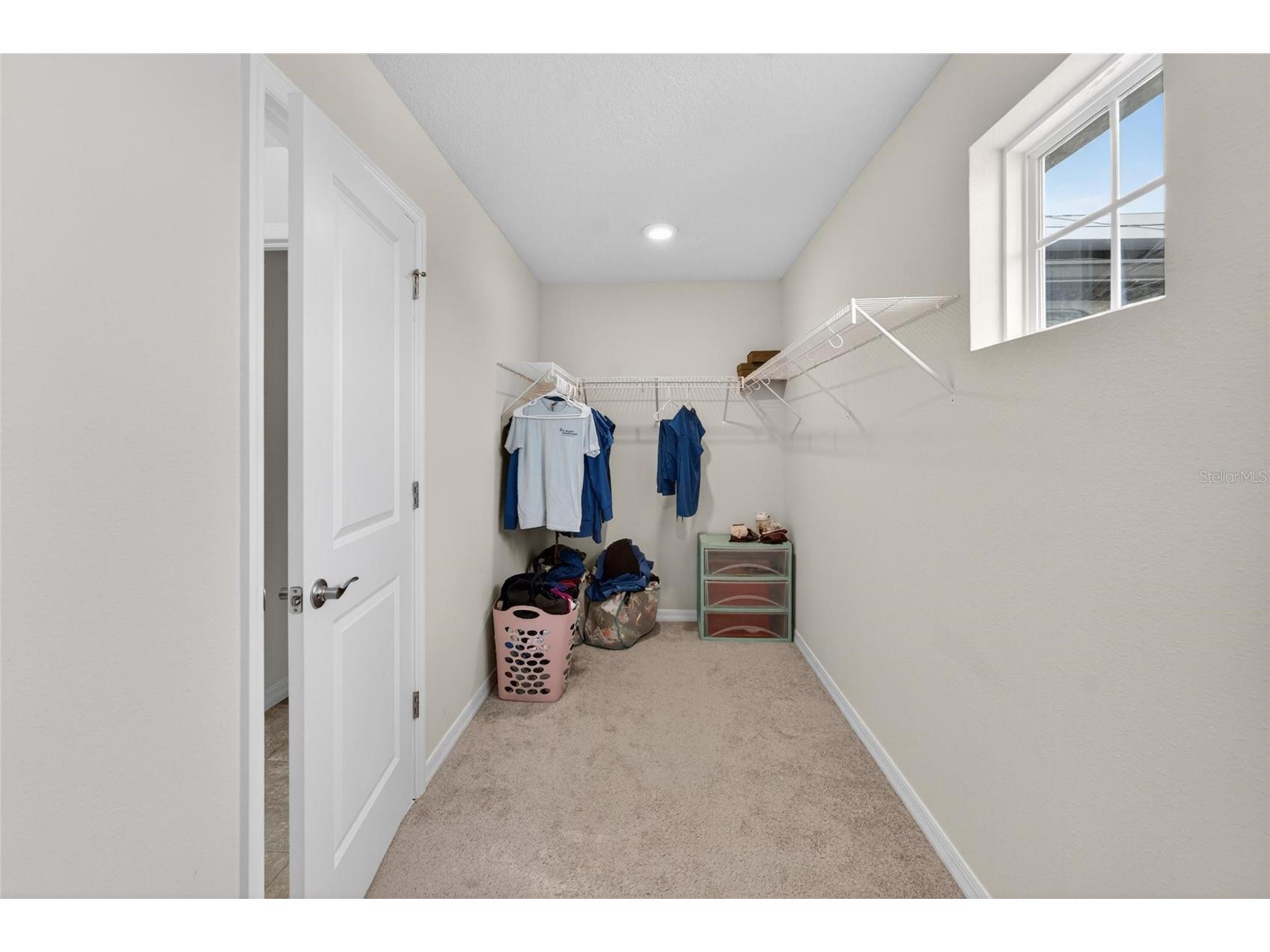 13519 Palmera Vista Drive Riverview FL 33579 TB8510164 image40