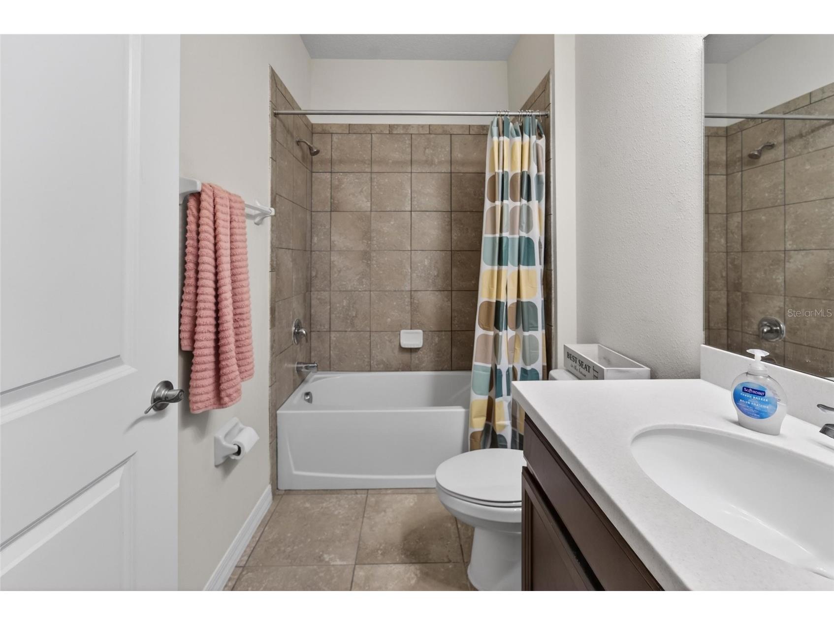 13519 Palmera Vista Drive Riverview FL 33579 TB8510164 image42