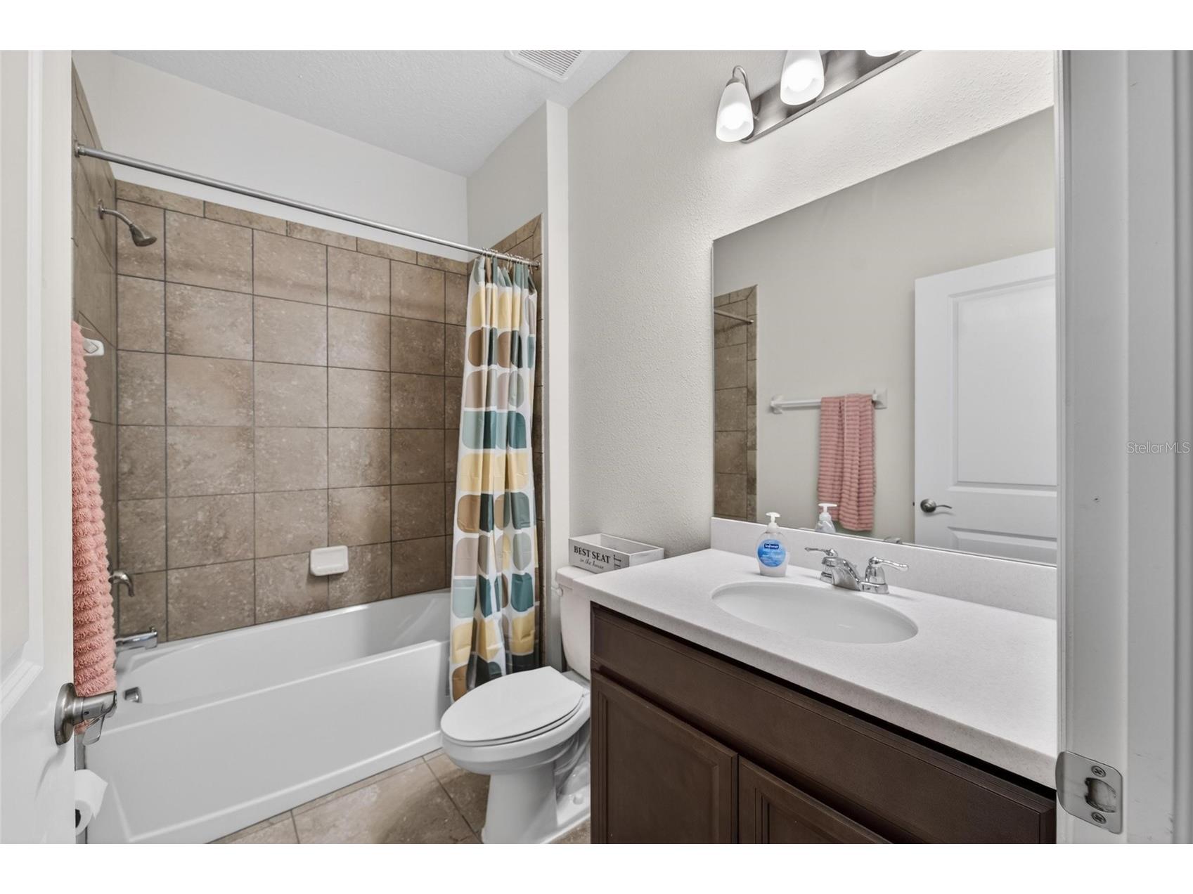13519 Palmera Vista Drive Riverview FL 33579 TB8510164 image43