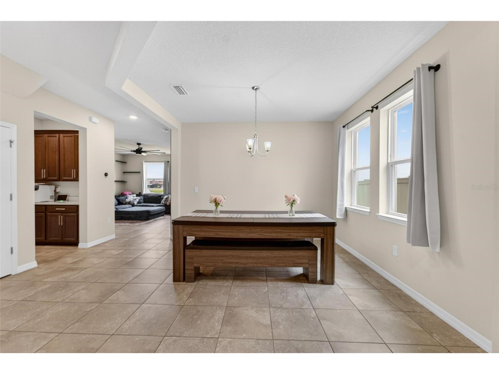 13519 Palmera Vista Drive Riverview FL 33579 TB8510164 image46
