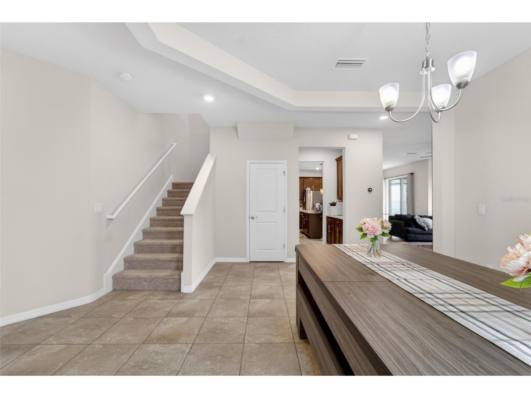 13519 Palmera Vista Drive Riverview FL 33579 TB8510164 image47