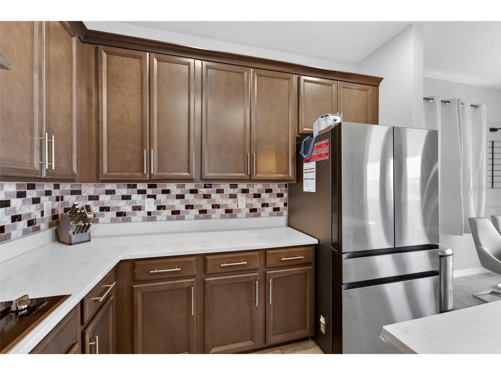 13519 Palmera Vista Drive Riverview FL 33579 TB8510164 image58