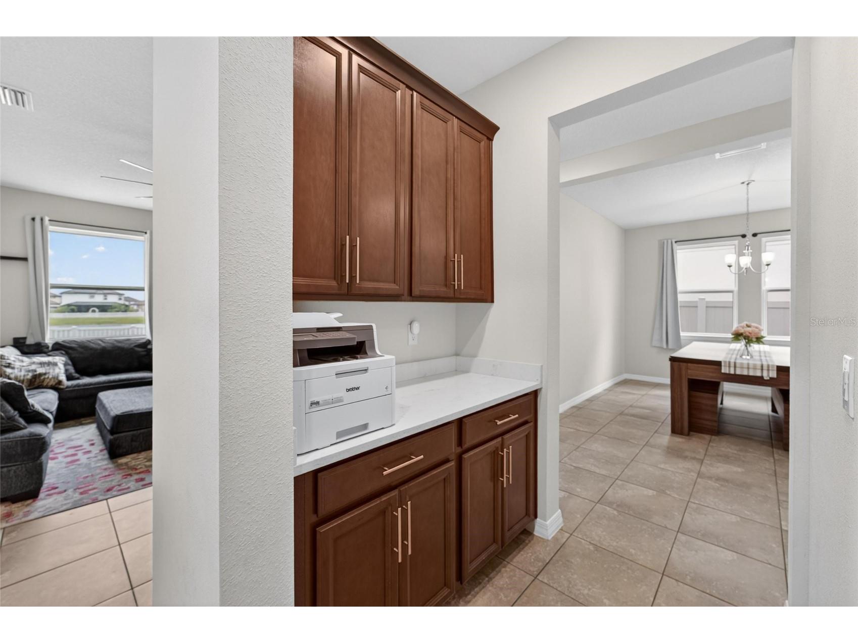 13519 Palmera Vista Drive Riverview FL 33579 TB8510164 image60