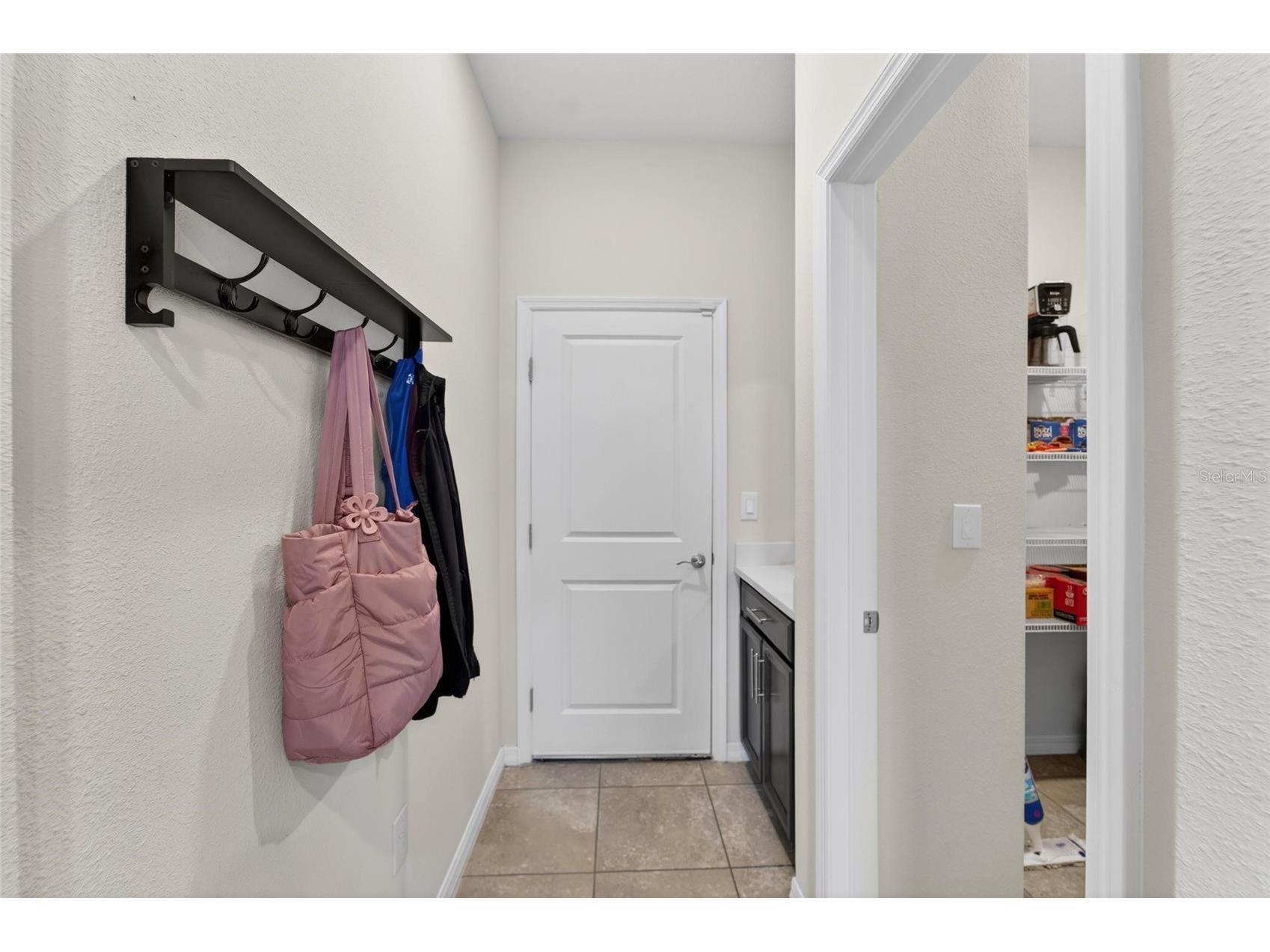 13519 Palmera Vista Drive Riverview FL 33579 TB8510164 image61