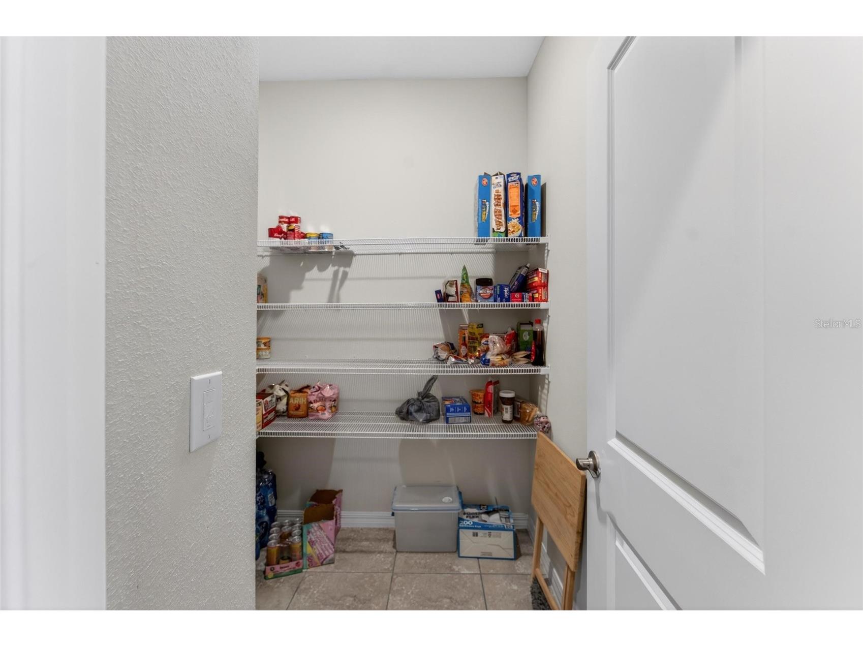 13519 Palmera Vista Drive Riverview FL 33579 TB8510164 image62