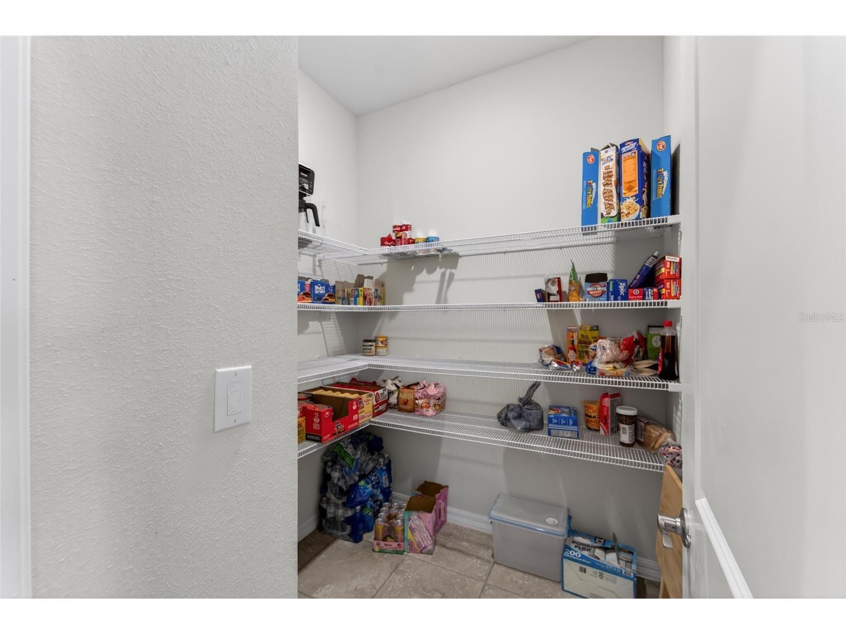 13519 Palmera Vista Drive Riverview FL 33579 TB8510164 image63