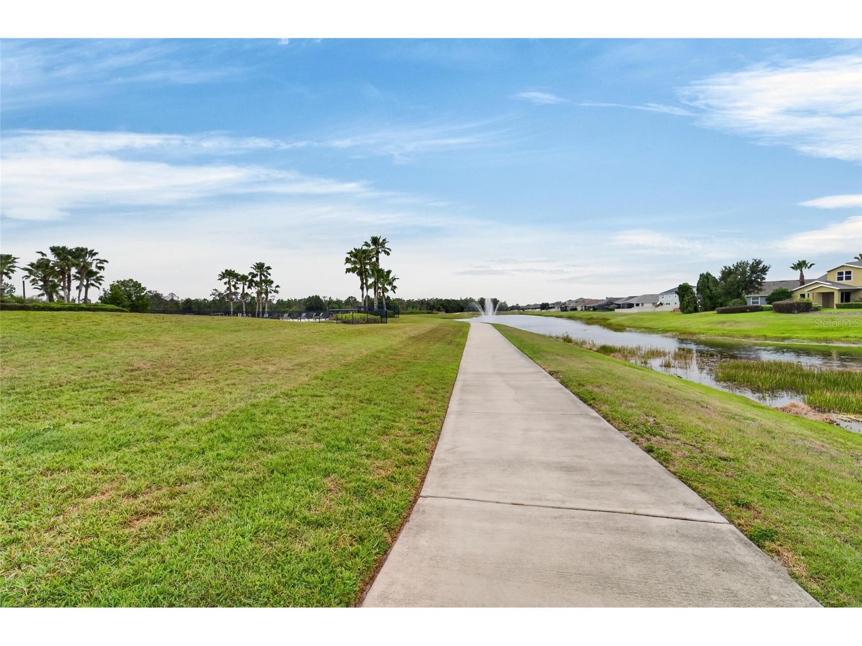 13519 Palmera Vista Drive Riverview FL 33579 TB8510164 image69