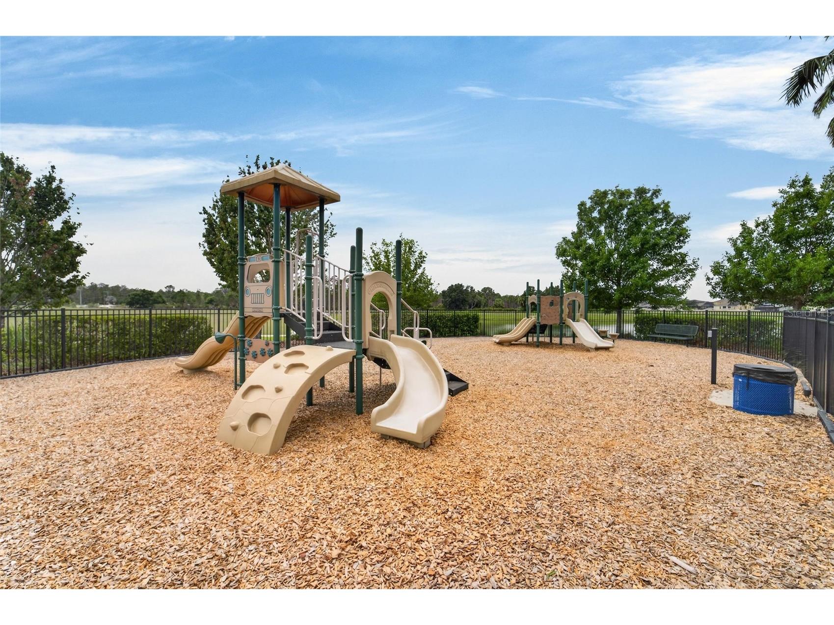 13519 Palmera Vista Drive Riverview FL 33579 TB8510164 image70