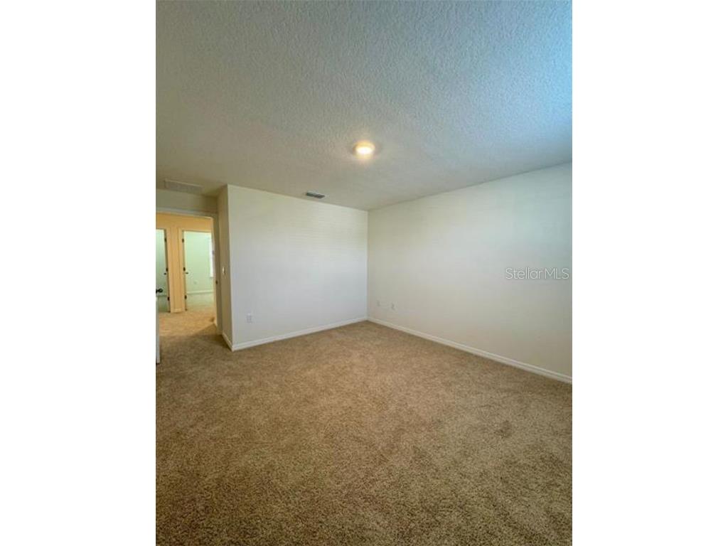 13519 Sagestone Drive Winter Garden FL 34787 O6364941 image23